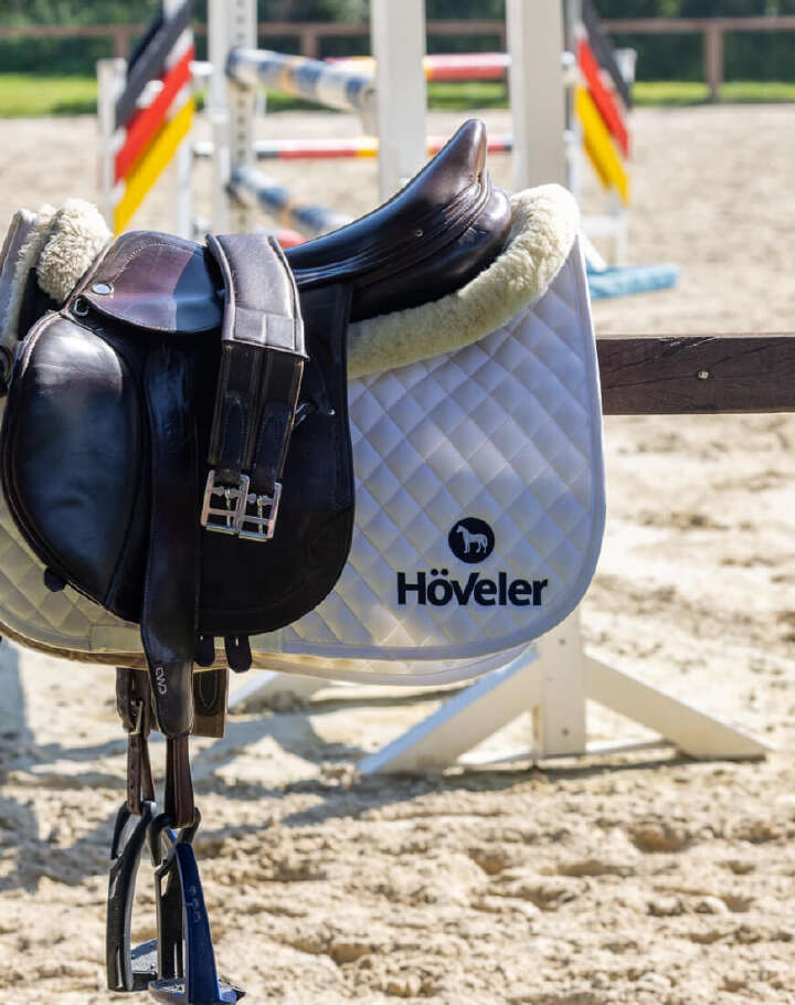 dam deutsche meisterschaft amateur pferdeturnier springreiten hoeveler supplemente premium pferdefutter pferdepflege highlightba dam deutsche meisterschaft amateur pferdeturnier springreiten hoeveler supplemente premium pferdefutter pferdepflege highlightba